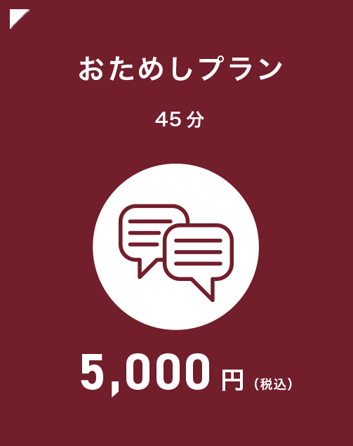 おためしプラン45分5,000円(税込)